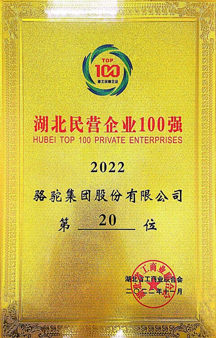 湖北民营企业100强（第20位）