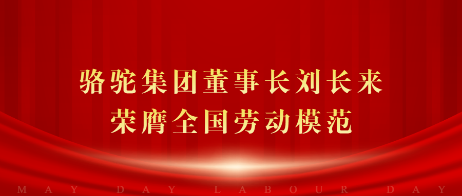 骆驼集团董事长刘长来荣膺全国劳动模范，铸就企业奋进新标杆